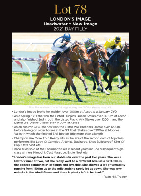 Lot 78: Headwater / New Image