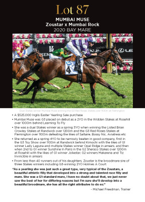 Lot 87: Zoustar / Mumbai Rock