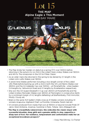 Lot 15: Alpine Eagle / This Moment