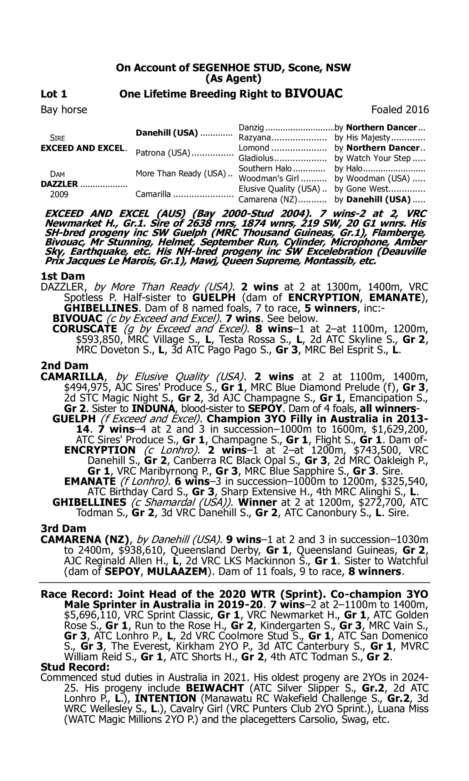 Pedigree for Lot 1 Exceed and Excel - Dazzler
