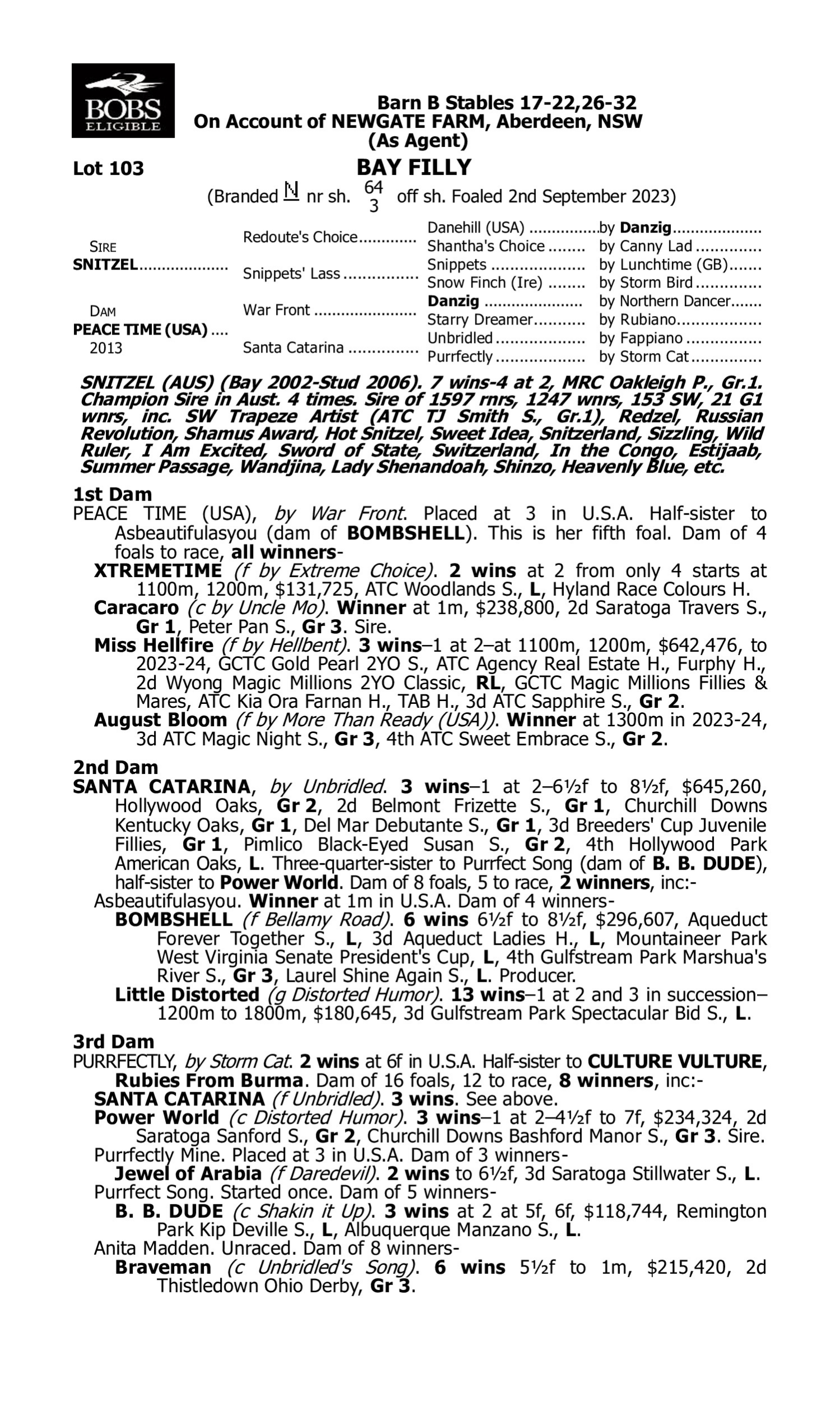 Pedigree for Lot 103 Snitzel - Peace Time (USA)