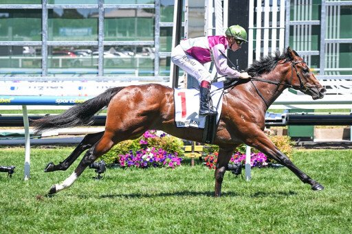 Variety aplenty in April (Early) Online Sale