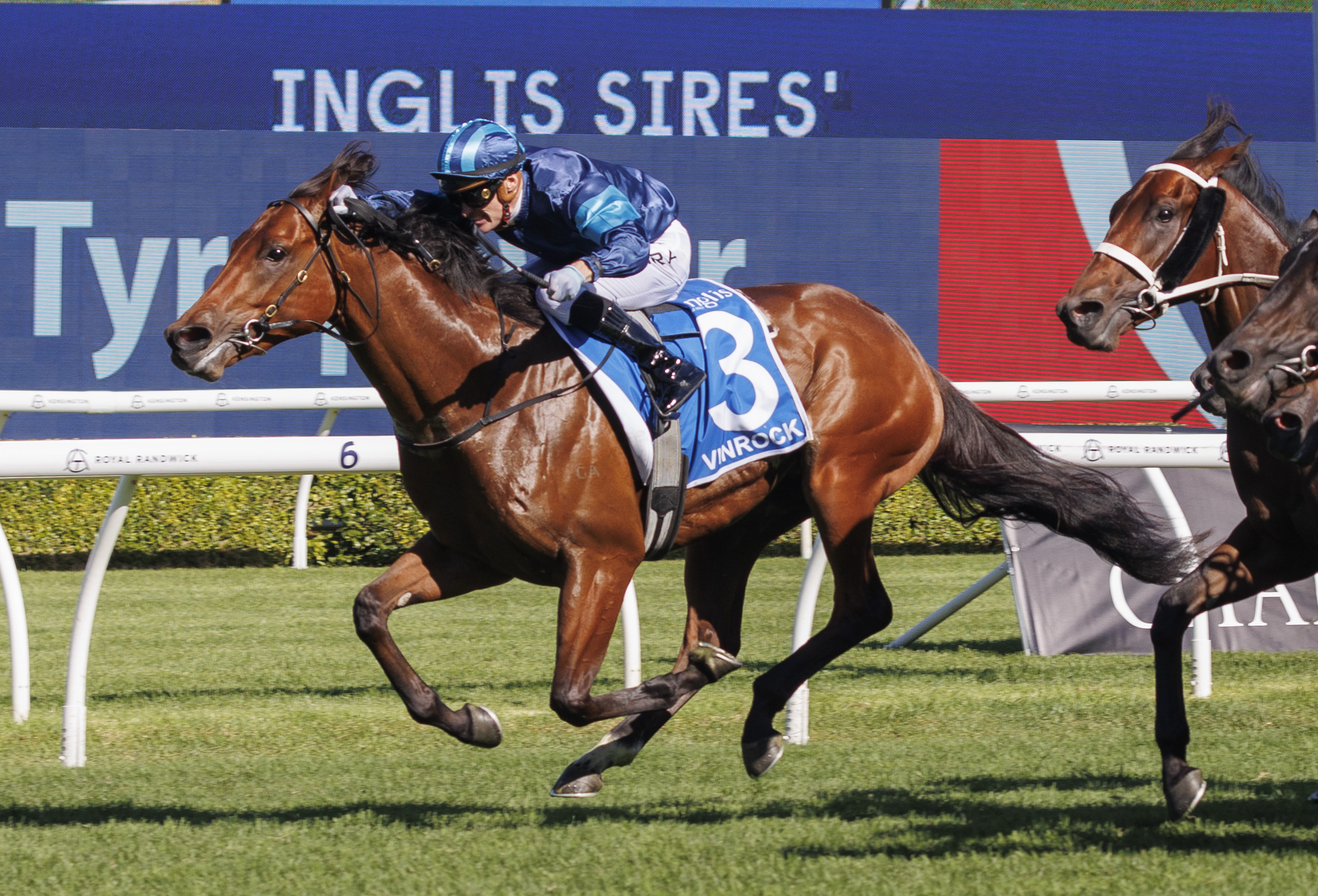 Exceptional colt Vinrock wins G1 Inglis Sires