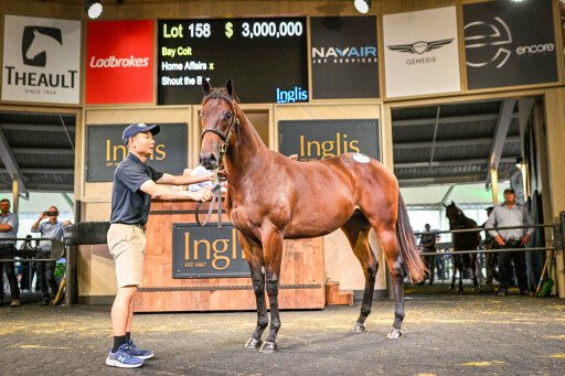 Shout The Bar colt tops strong Day 1 of Easter Sale