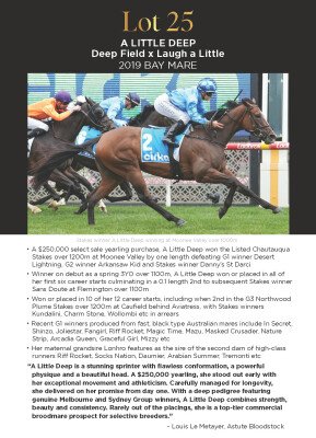 Lot 25: Deep Field / Laugh a Little