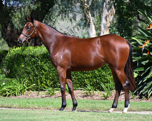 Lot 45: Exceedance / Sacred Choice