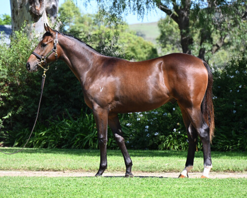 Lot 90: Ole Kirk / Sweet Finesse