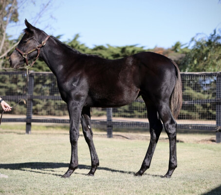 Lot 395: Kermadec (NZ) / Flostar