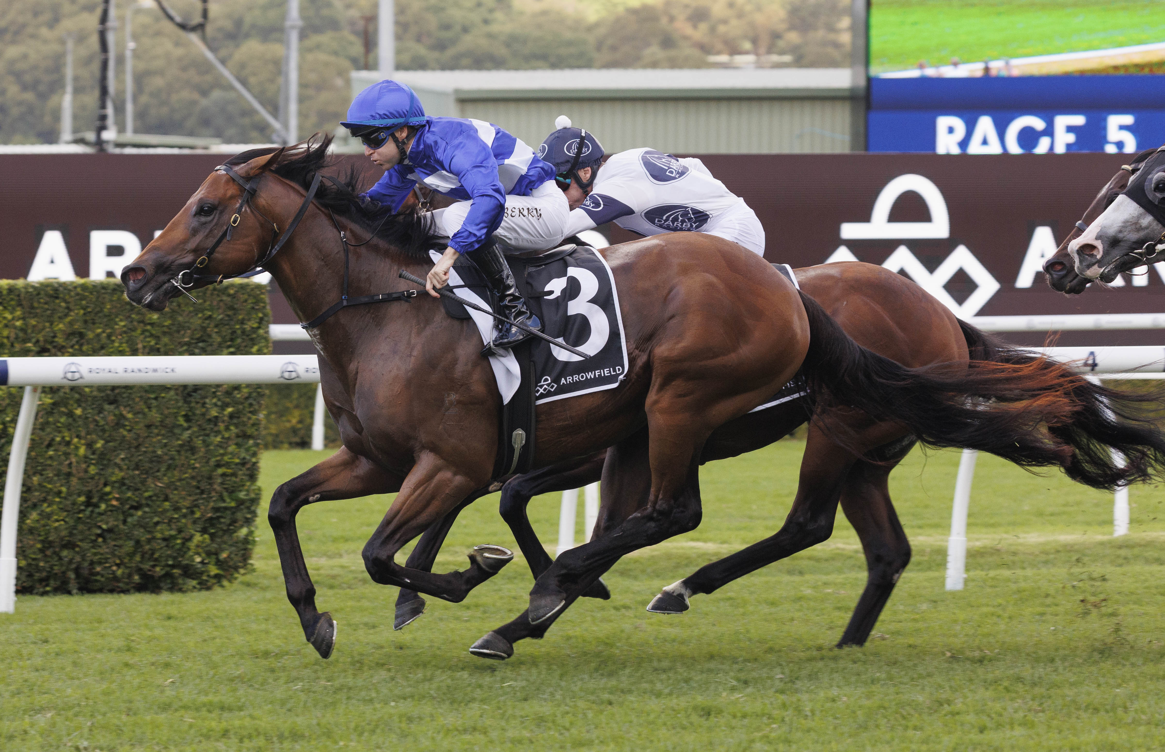 Inglis grads win six feature races Australia-wide on huge day