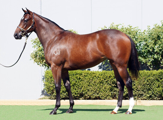 Lot 149: D'Argento / Atalanta Miss