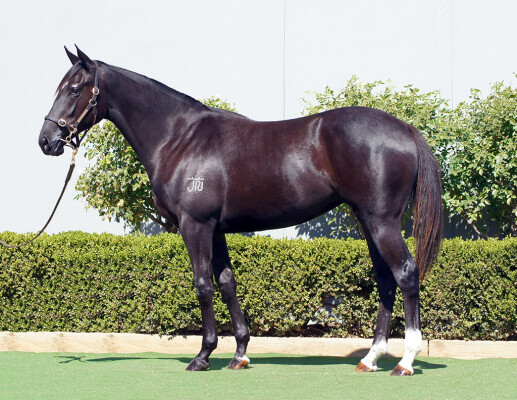 Lot 218: D'Argento / Gatsby's Girl