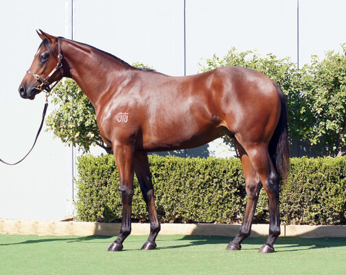 Lot 253: St Mark's Basilica (FR) / Kristy Lee
