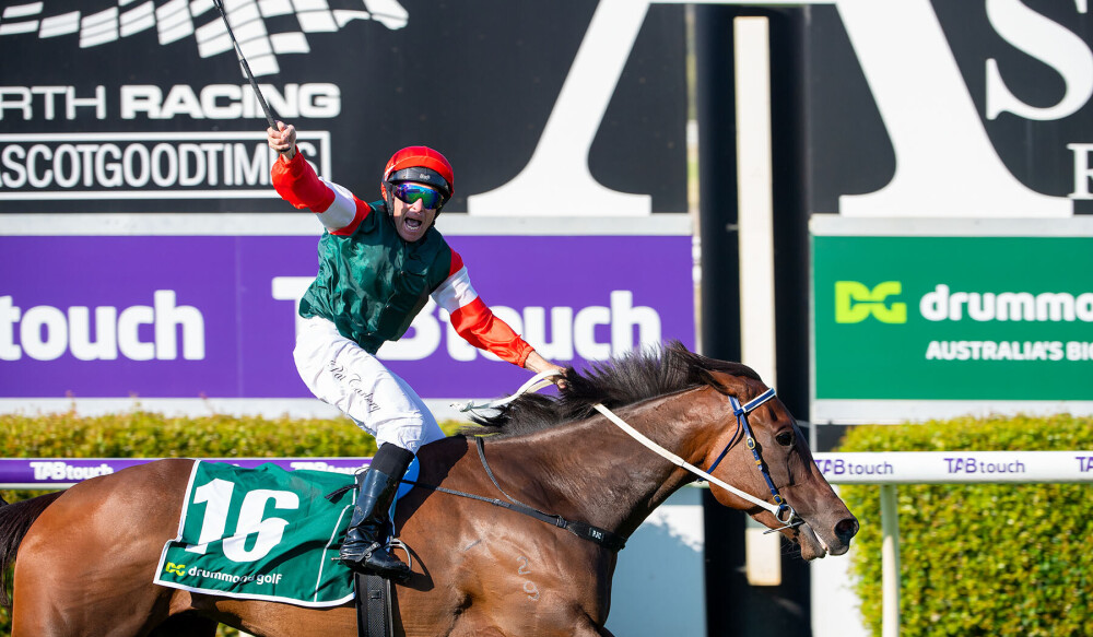 “Freakishly talented” Amelia's Jewel to be added to The Chairman's Sale