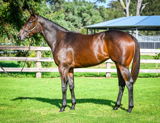 Lot 127: Wootton Bassett (GB) / Zezolla