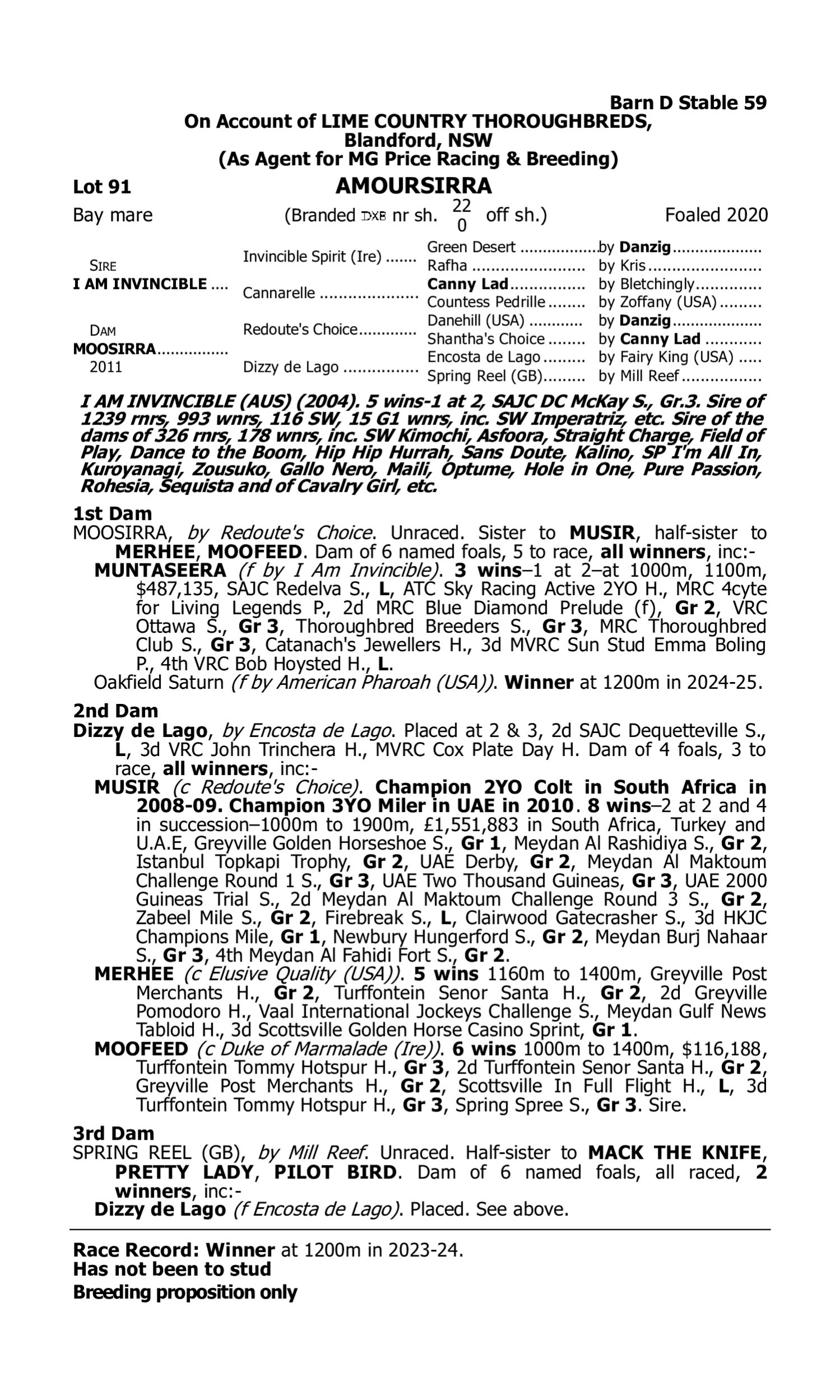 Pedigree for Lot 91 I Am Invincible - Moosirra