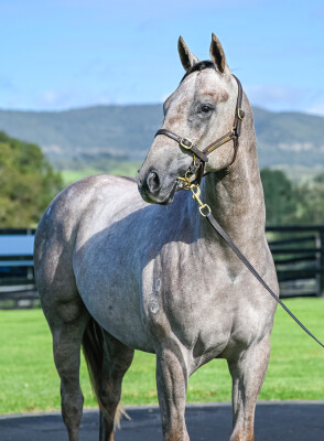 Lot 261: Graff / Little Nikkas