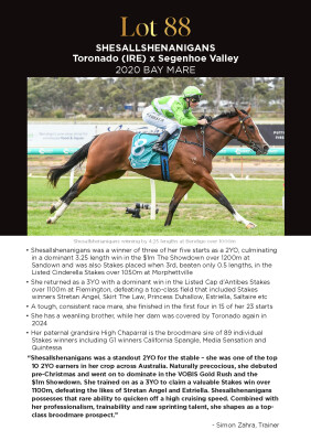 Lot 88: Toronado (IRE) / Segenhoe Valley