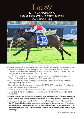 Lot 89: Street Boss (USA) / Varenna Miss