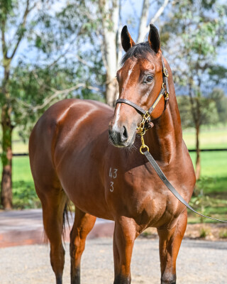 Lot 28: Russian Revolution / Princess Bride