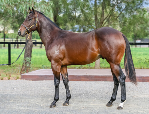 Lot 200: Unite and Conquer / Dollhouse