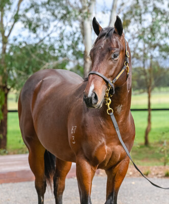 Lot 200: Unite and Conquer / Dollhouse