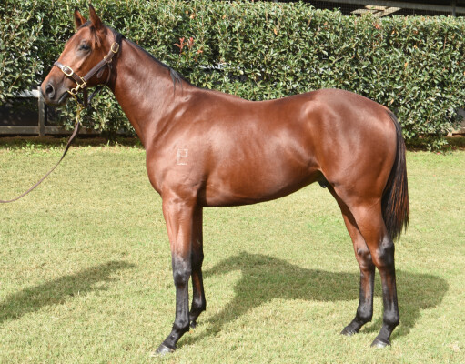 Lot 35: Doubtland / Rahveel