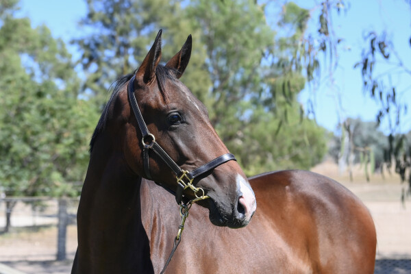 Lot 287: Rich Enuff / Miss Josephine