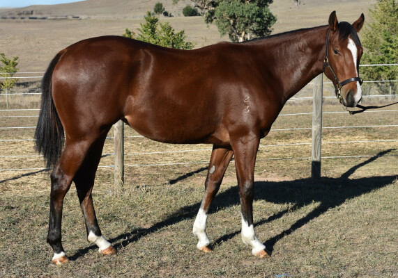 Lot 167: Unite and Conquer / Calendar Lass