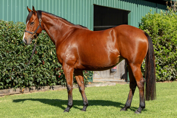 Lot 302: I Am Invincible / Alcancia