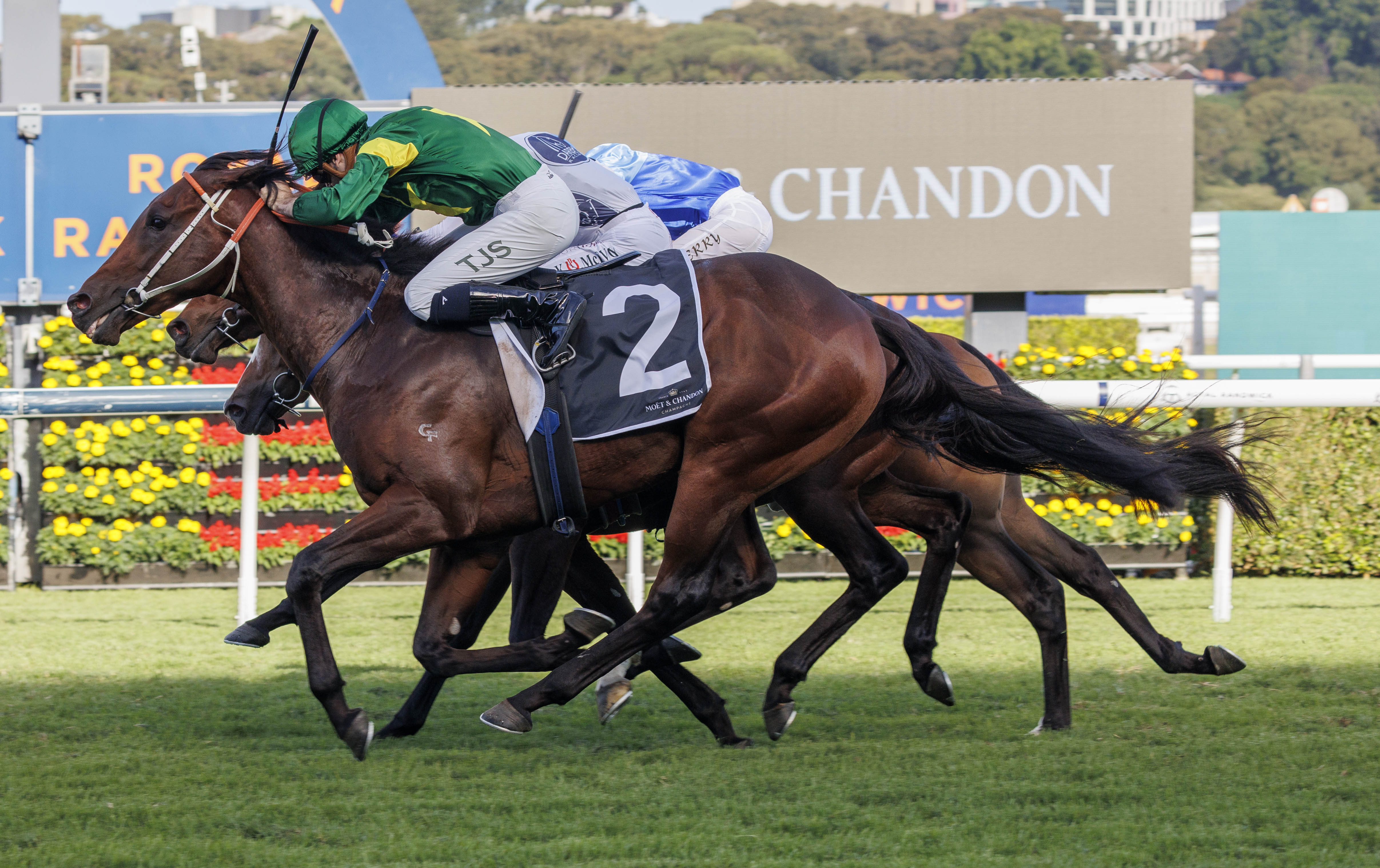 Star 2YO Nepotism scores stunning win in G1 Champagne Stakes