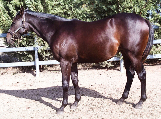 Lot 224: Dirty Work / Gloria Sings (USA)