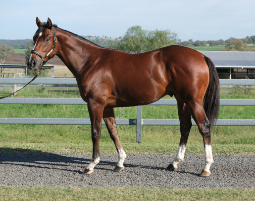 Lot 298: Home Affairs / Mrs Danvers (GB)