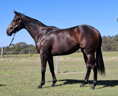 Lot 117: North Pacific / Vodianova