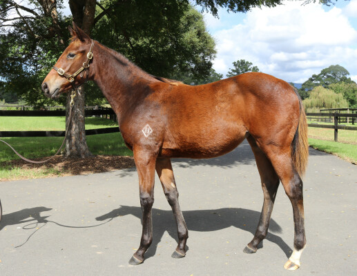 Lot 422: State of Rest (IRE) / Hebrides