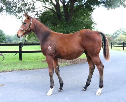 Lot 574: Acrobat / My Sanctuary (GB)