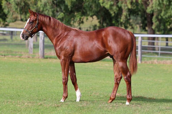 Lot 124: Russian Revolution / World of Hope