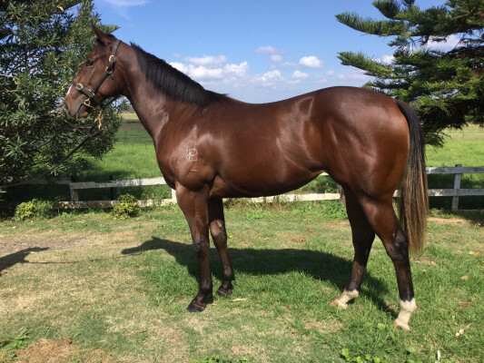 Lot 99: Time to Reign / Thiwlig