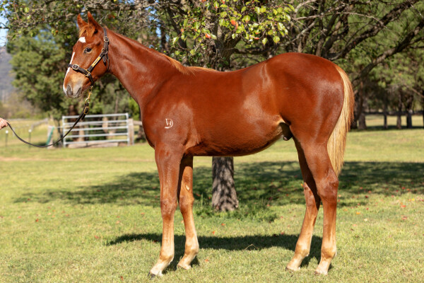 Lot 353: Ellsberg / Don't Doubt Marley