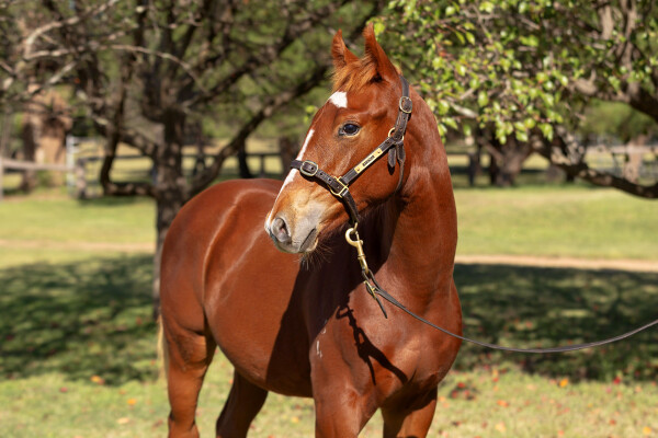 Lot 353: Ellsberg / Don't Doubt Marley