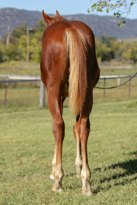 Lot 353: Ellsberg / Don't Doubt Marley