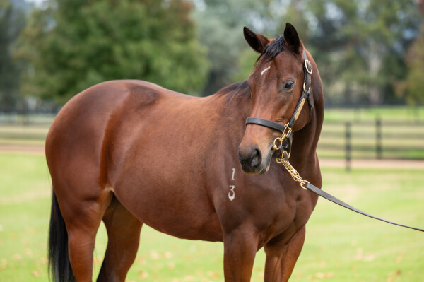 Lot 6: Home Affairs / Nimbostratus (FR)