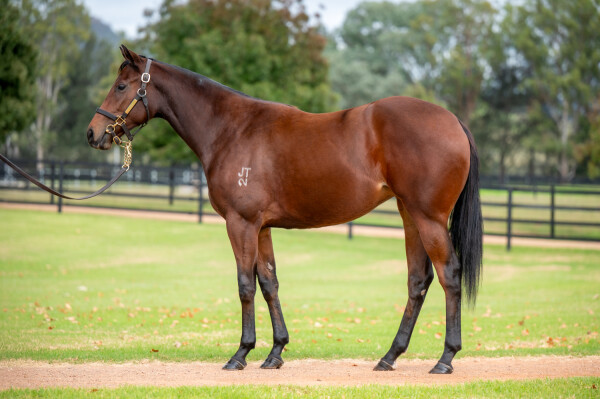 Lot 6: Home Affairs / Nimbostratus (FR)