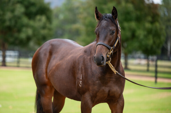 Lot 83: Lean Mean Machine / Summer Breeze
