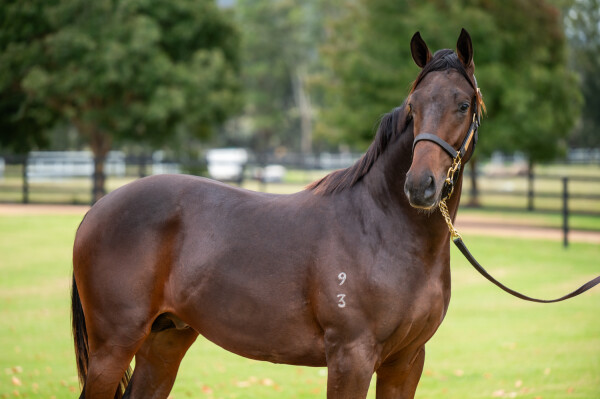 Lot 152: Yes Yes Yes / Azure Sky