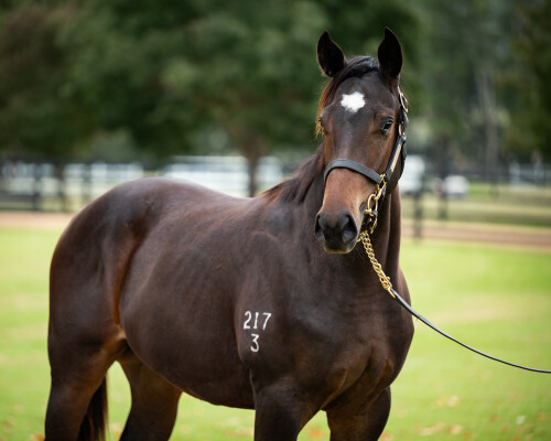 Lot 178: Portland Sky / Chic and Happy