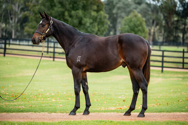 Lot 178: Portland Sky / Chic and Happy