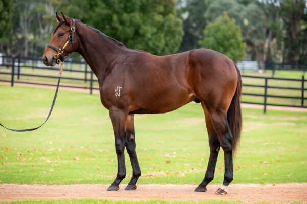 Lot 245: Portland Sky / Jeanneau