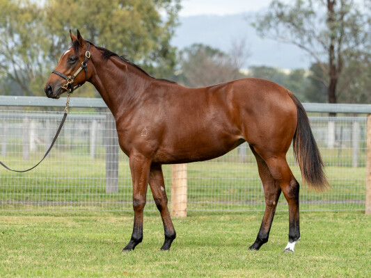 Lot 40: King's Legacy / Respecting