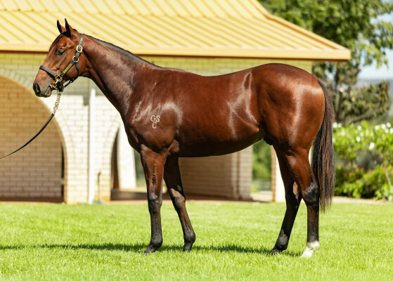 Lot 9: Profiteer / Only Mine