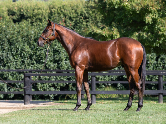 Lot 29: Stay Inside / Prosecution